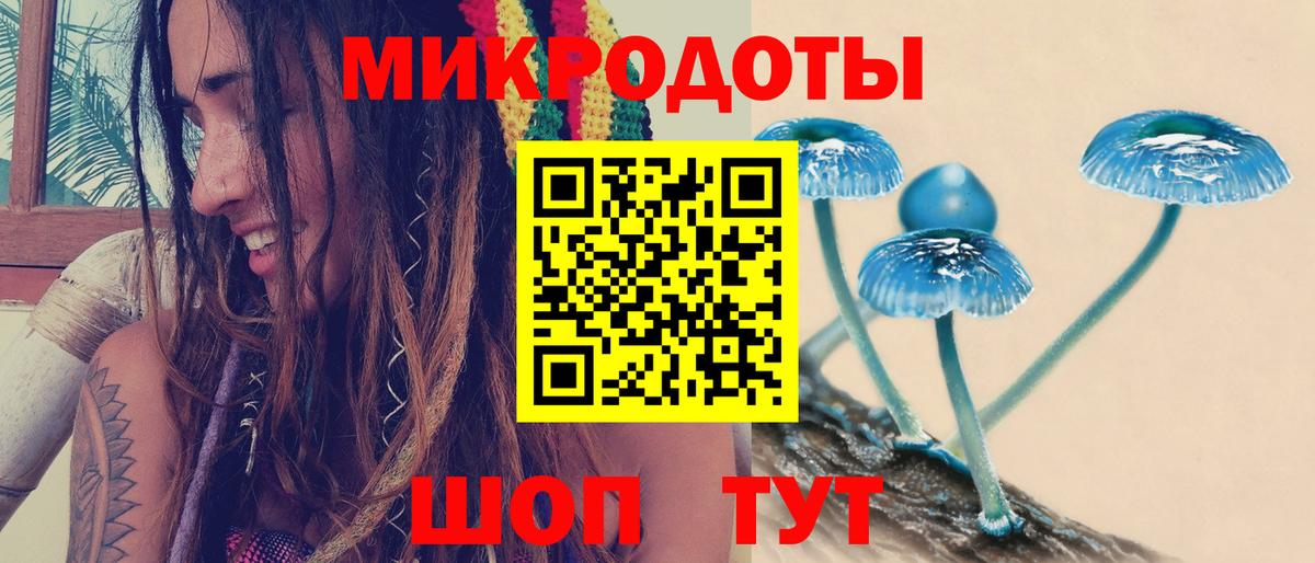 Краснокаменск  Галлюциногенные грибы Psilocybine cubensis  Вход с VPN 